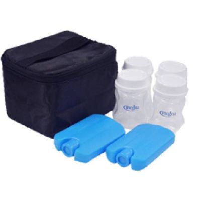 Removable Cooler Insert Tote And Ice Pack With Extra 4 Bottles